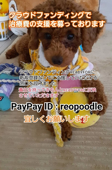 直接のご支援について