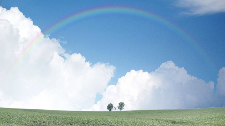 子どものための共同養育支援法をつくるプロジェクト