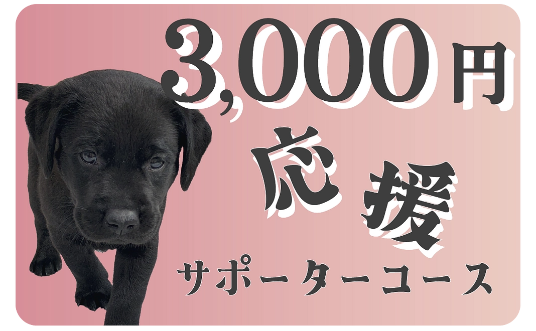 3,000円｜応援サポーターコース