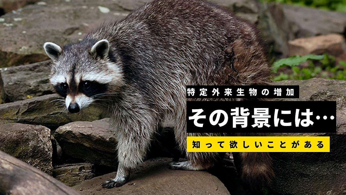 【知ってほしい10のこと｜その10】特定外来生物の現状。減らすことができない背景には……