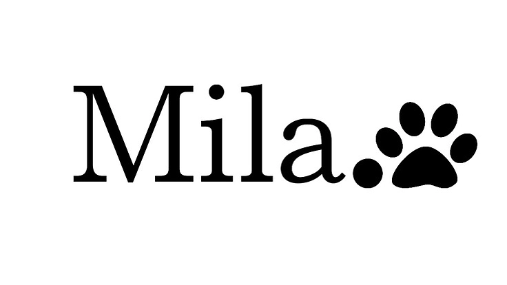 ワンちゃん猫ちゃんのための活動をしたい