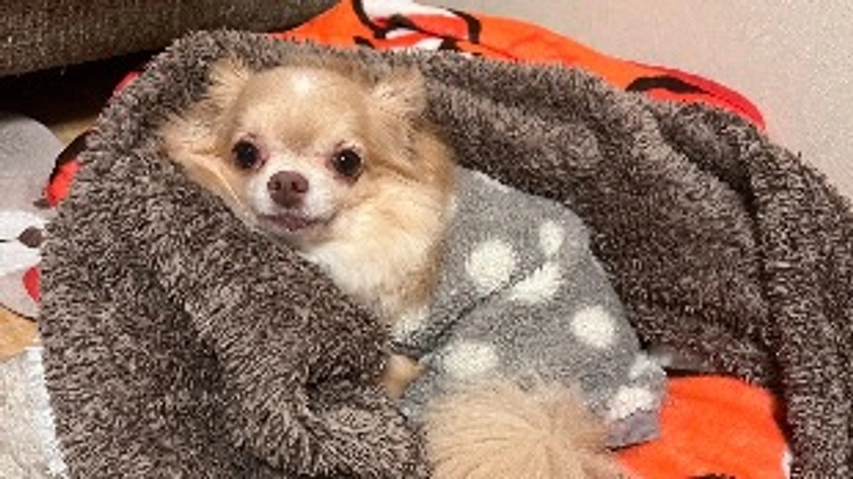 残り27日 達成率22％