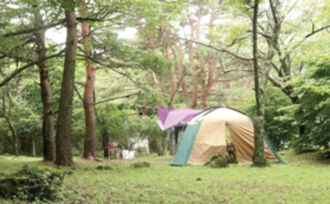 【キャンプ予約】キャンプ利用権（3×4m）