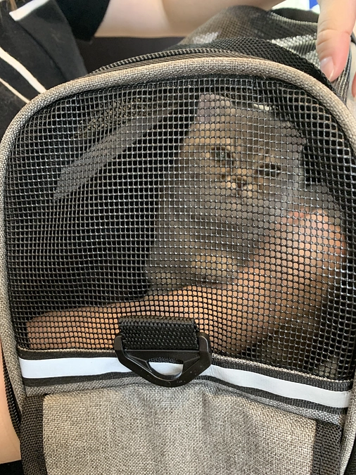 7/10はじめての検査