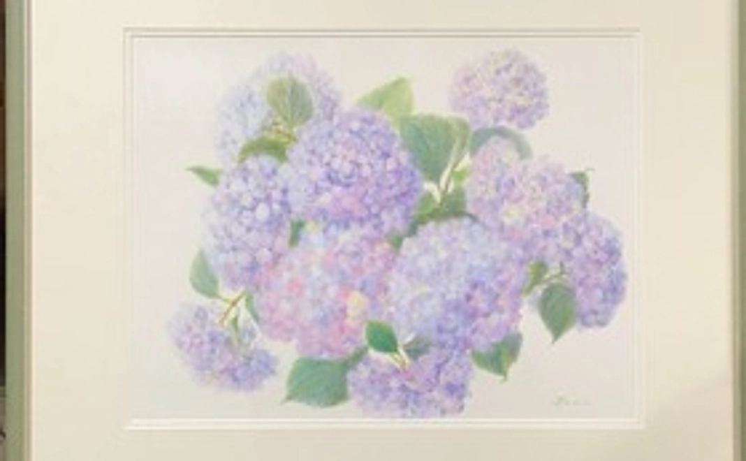 紫陽花（No.032）