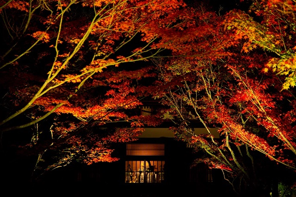 クラウドファンディングスタートです。