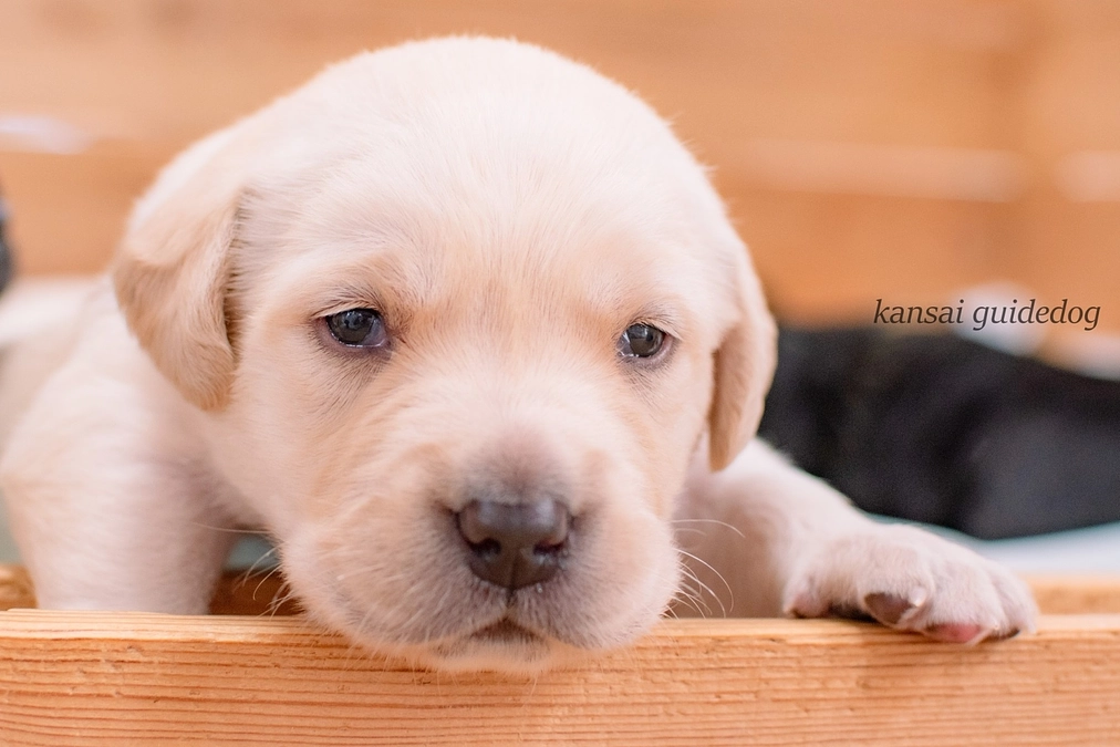 目がひらきました(2023/12/13）