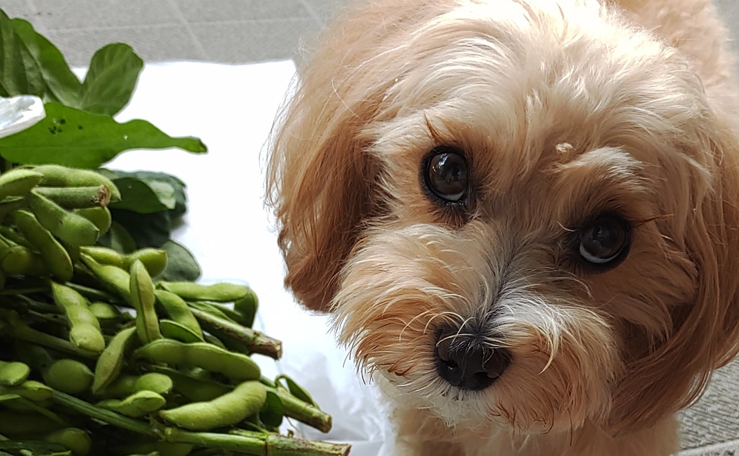 ご支援に心から感謝致します②