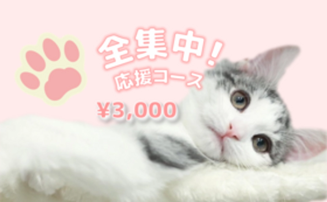 全集中！エルサ応援コース＊3000