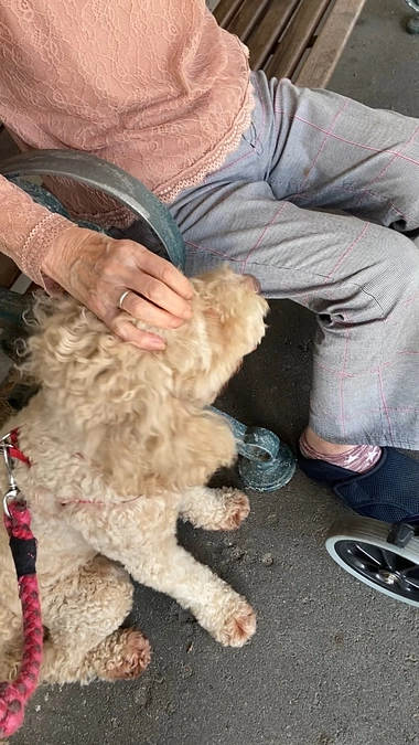 石部のケアハウスさんへの移動花屋