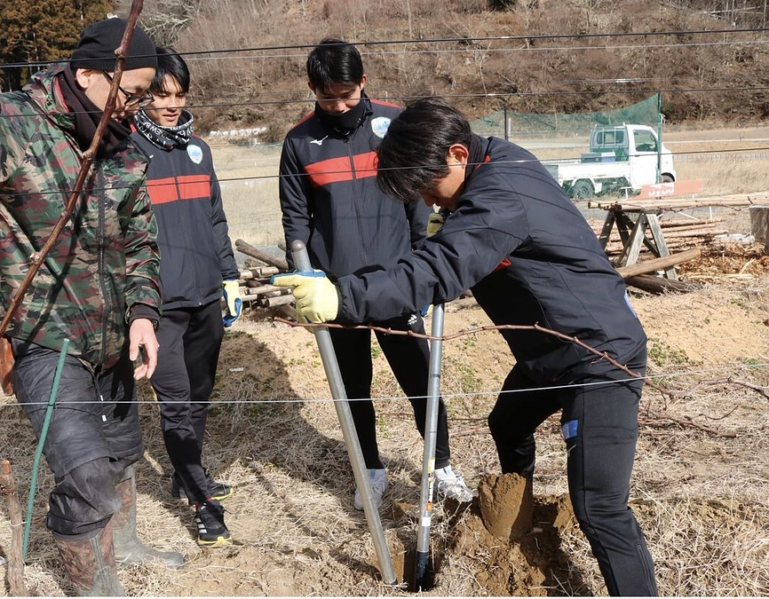 コバルトーレ女川