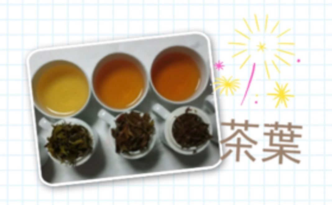 【みなさまのお力が集まれば、大きな力になります】オススメの台湾茶を楽しみませんか？