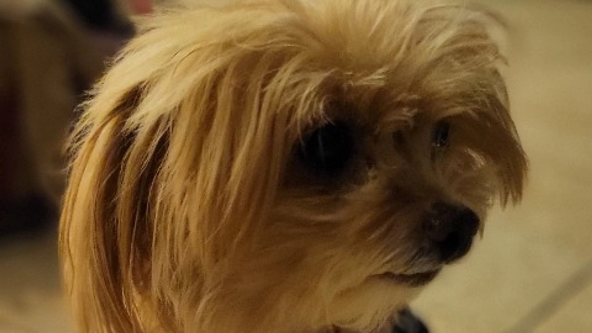 退院後初の散歩♪