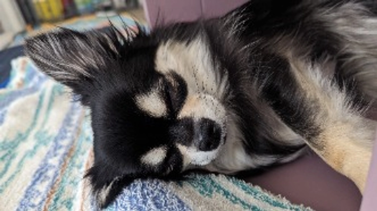 残り21日となりました