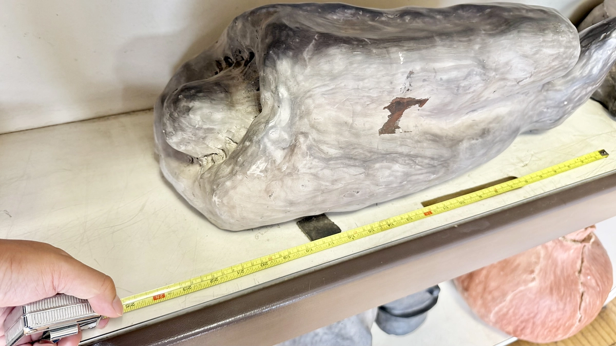 【残り5日】新聞にも掲載されました！