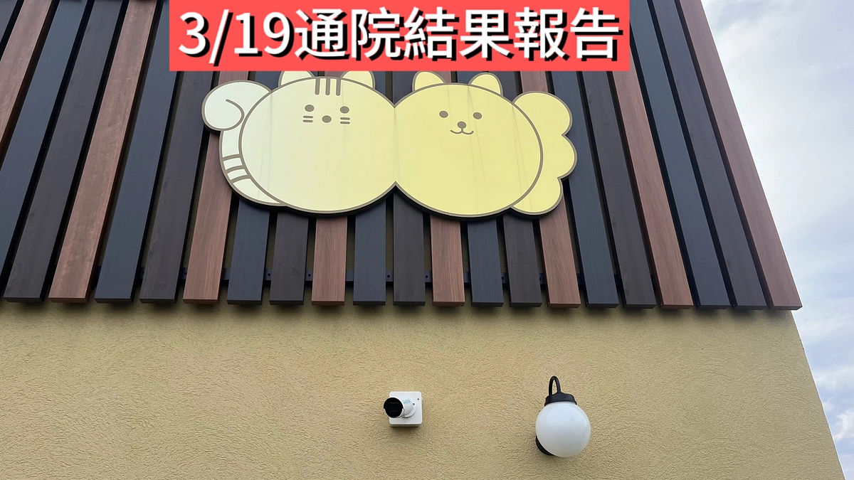 3/19通院結果報告