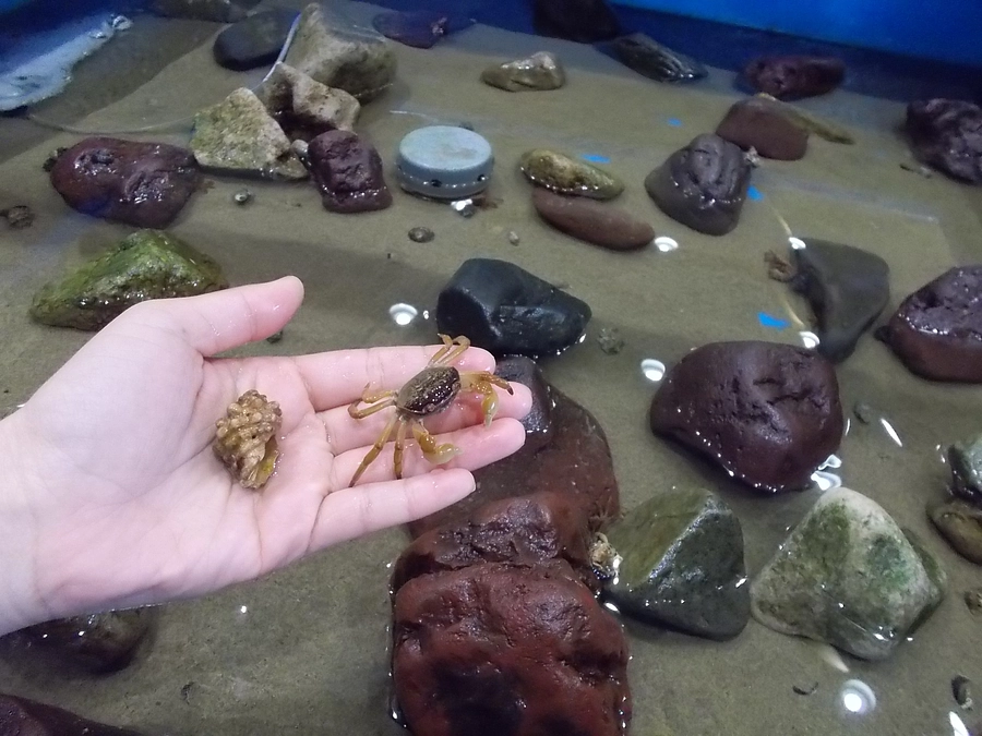 第一目標の達成＆ネクストゴールの設定