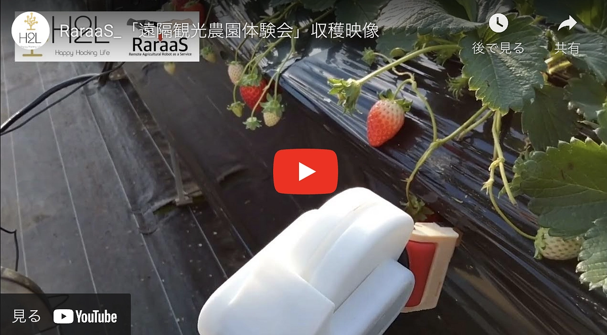 遠隔観光農園体験会の様子をYouTubeで公開中です！