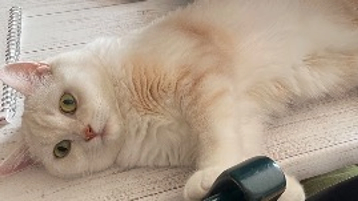 残り15日になりました‼️