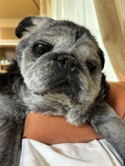 6月16日放射線治療3回目