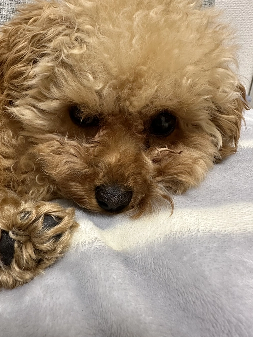 通院してきました。