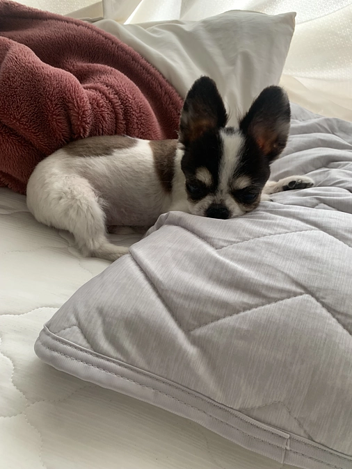 クラファン残り３日・・・