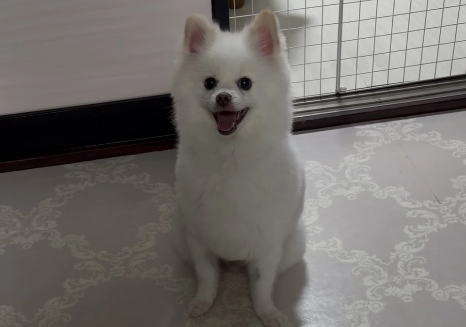 次回のCT造営検査日が決定しました。