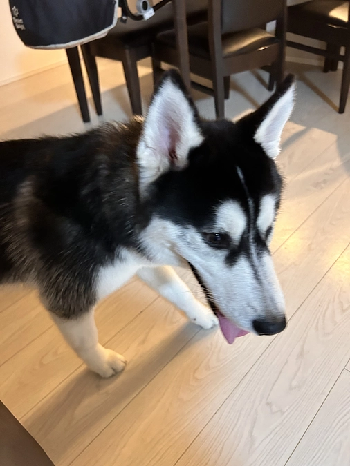 代理支援ありがとうございます。(ゆうちょ銀行)