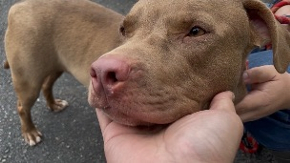 無事に終わりました。