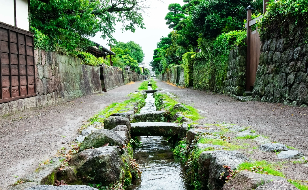 感謝状 + 島原の特産品