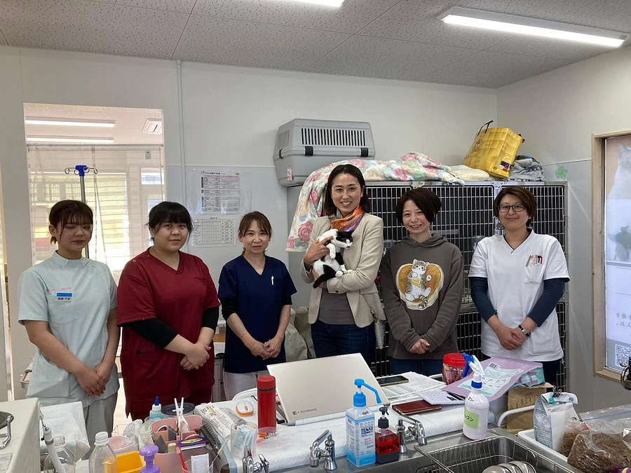 候補者の吉田けい子さん、もりねこに視察に来てくれています