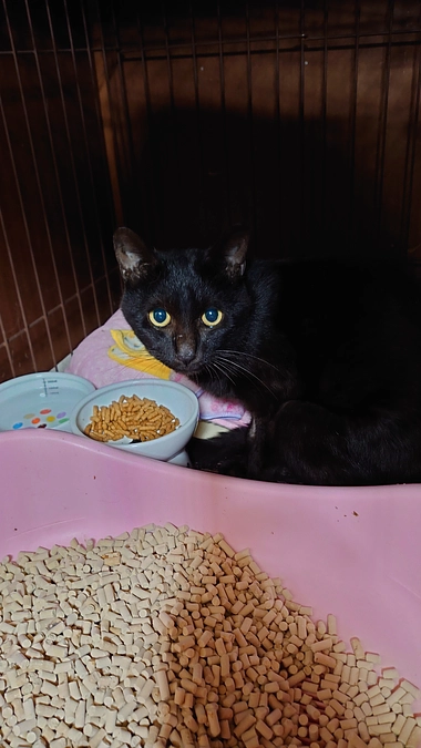 お力添えくださった皆様へ。