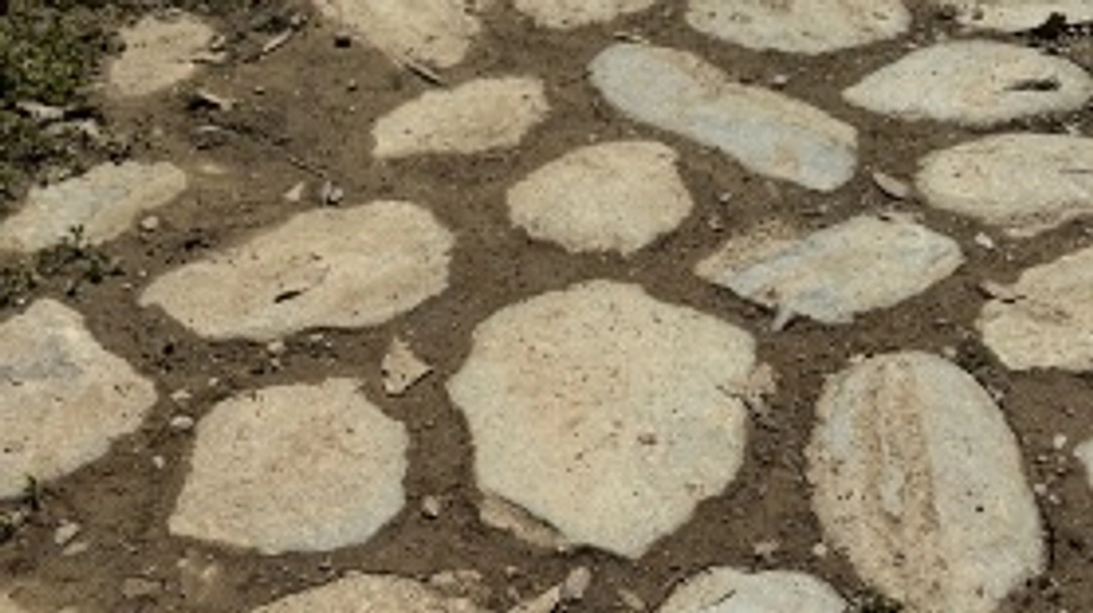 ゴールデンウィークあと少し