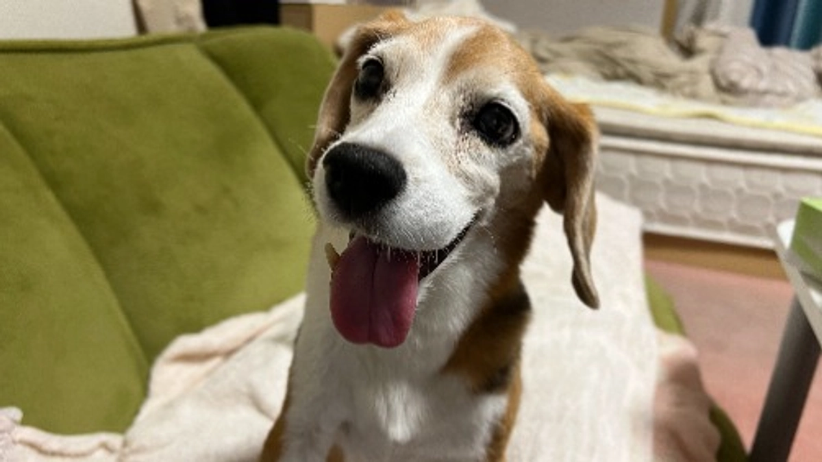 10/5 目標達成のお礼と残りの期間につきまして