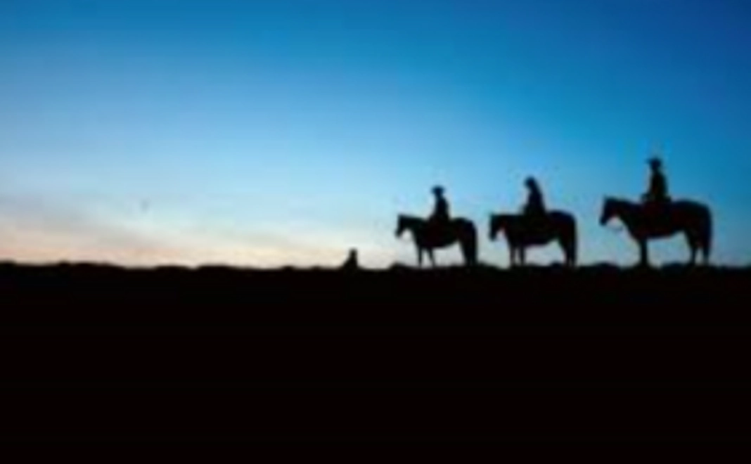 【返礼品不要の方向け】お礼のメール