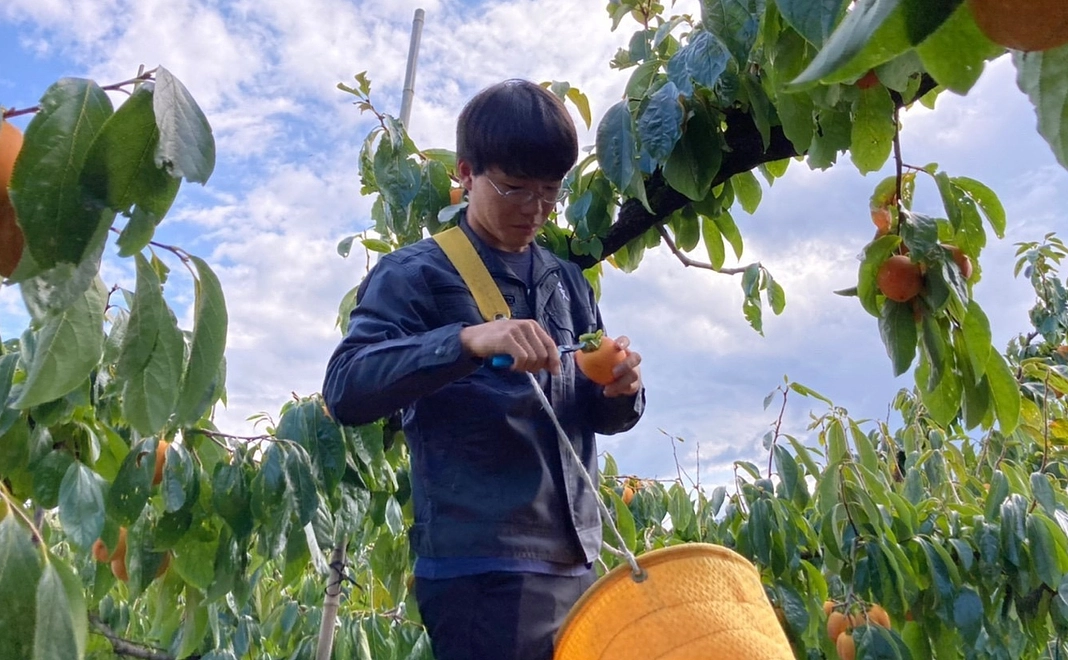 お気軽支援コース