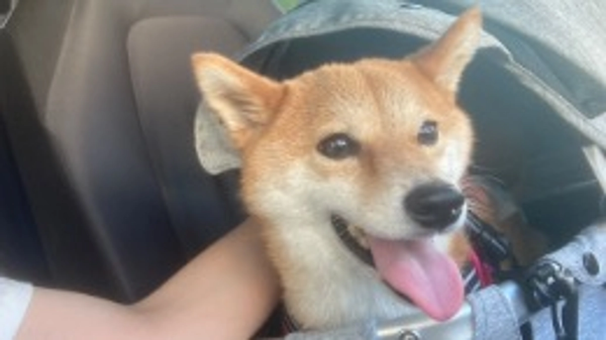 抗がん剤治療1クールが終了して