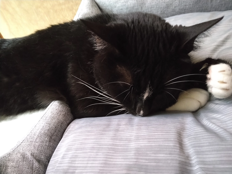 6/14はなちゃんの様子