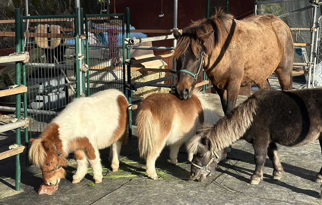 改めて僕の思いを綴ります、読んでいただけたら嬉しいです。
