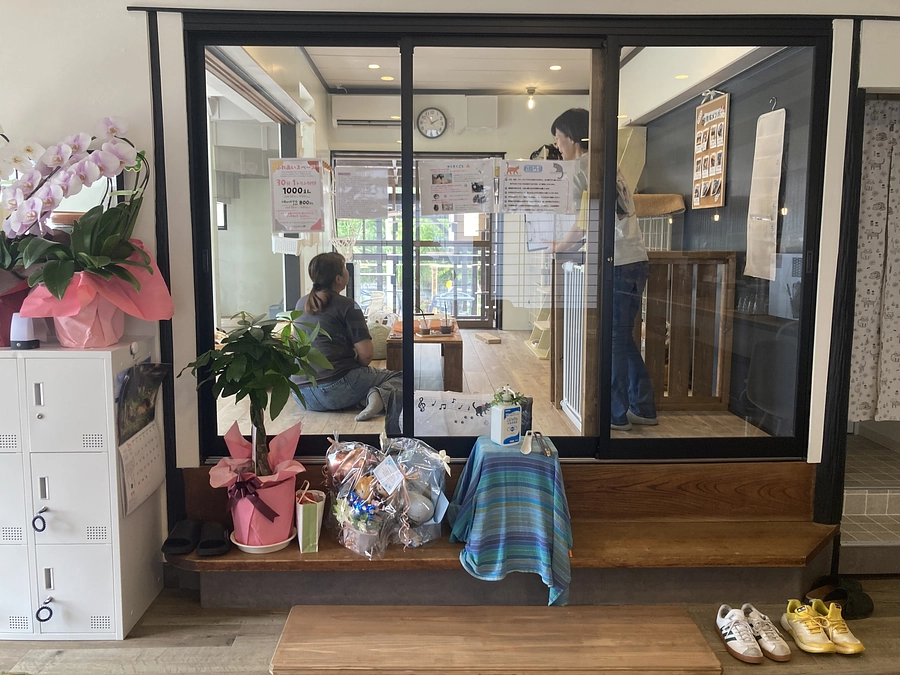 保護猫カフェ併設型複合施設オープン試運転中