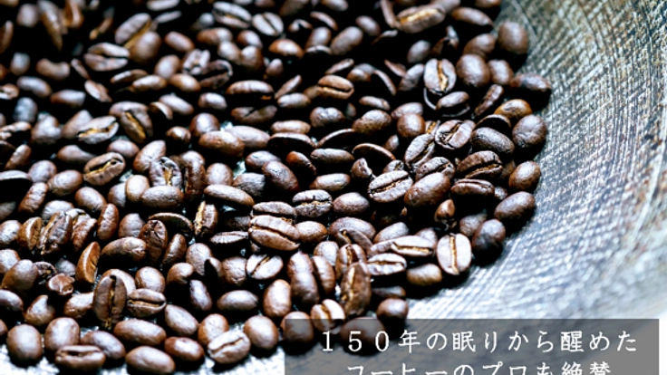 63番目の新種のアラビカ、セイロンコーヒーの木1万本を育てたい