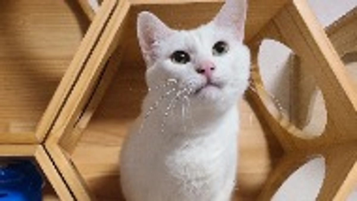 24時間切りました。