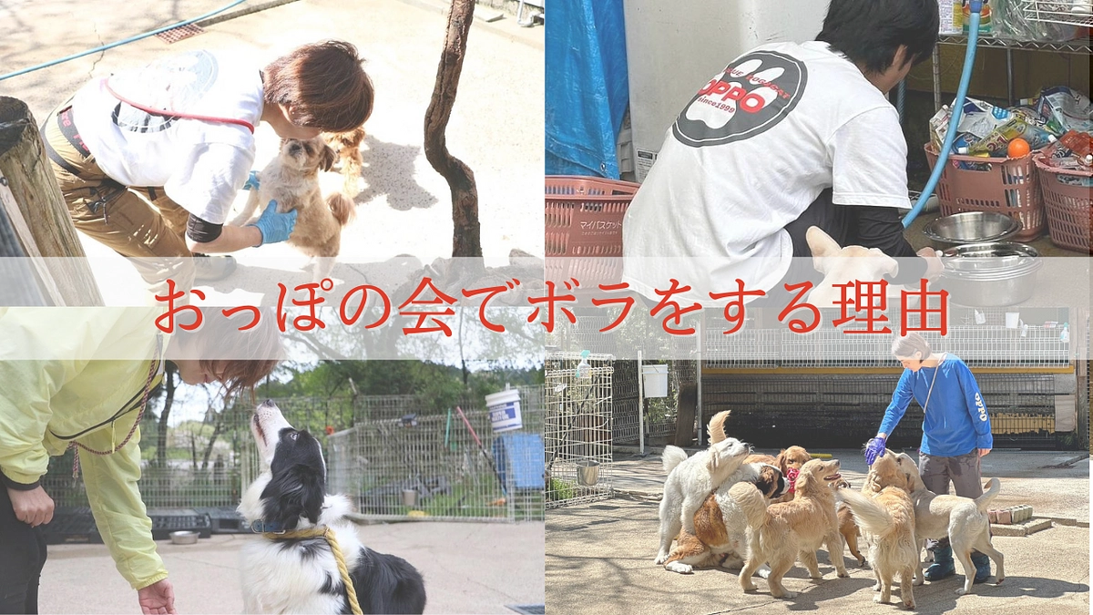 ひたすら向上心を持ち「通い続ける」ボランティア達を一挙紹介