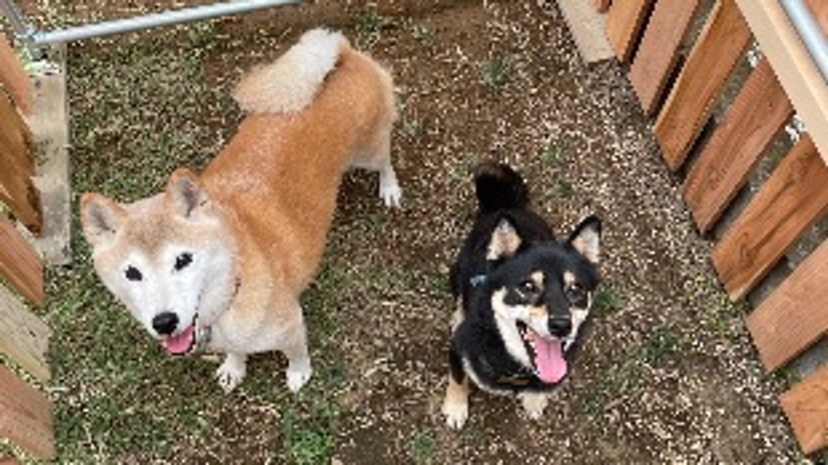 ❗️資金管理❗️