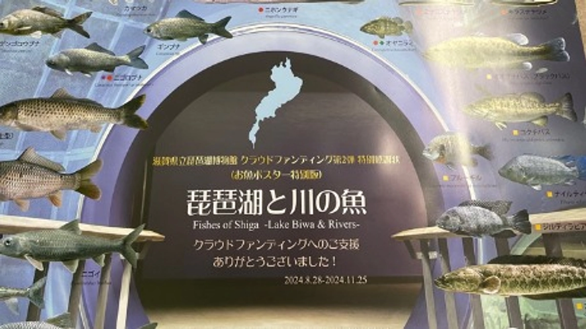 特別感謝状のうち、2種類が出来上がりました！