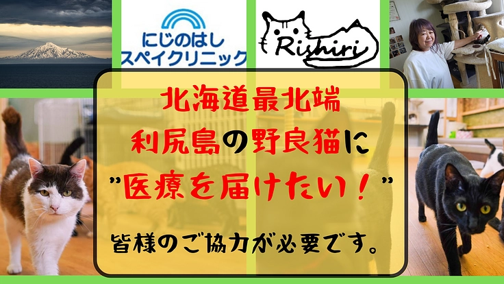 モバイルクリニックが利尻島に来院！利尻島から不幸な野良を”ゼロ”に