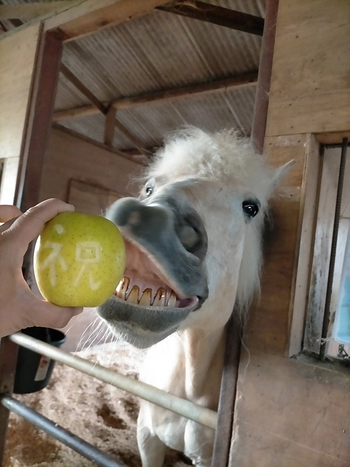 【御礼】第一目標達成致しました！