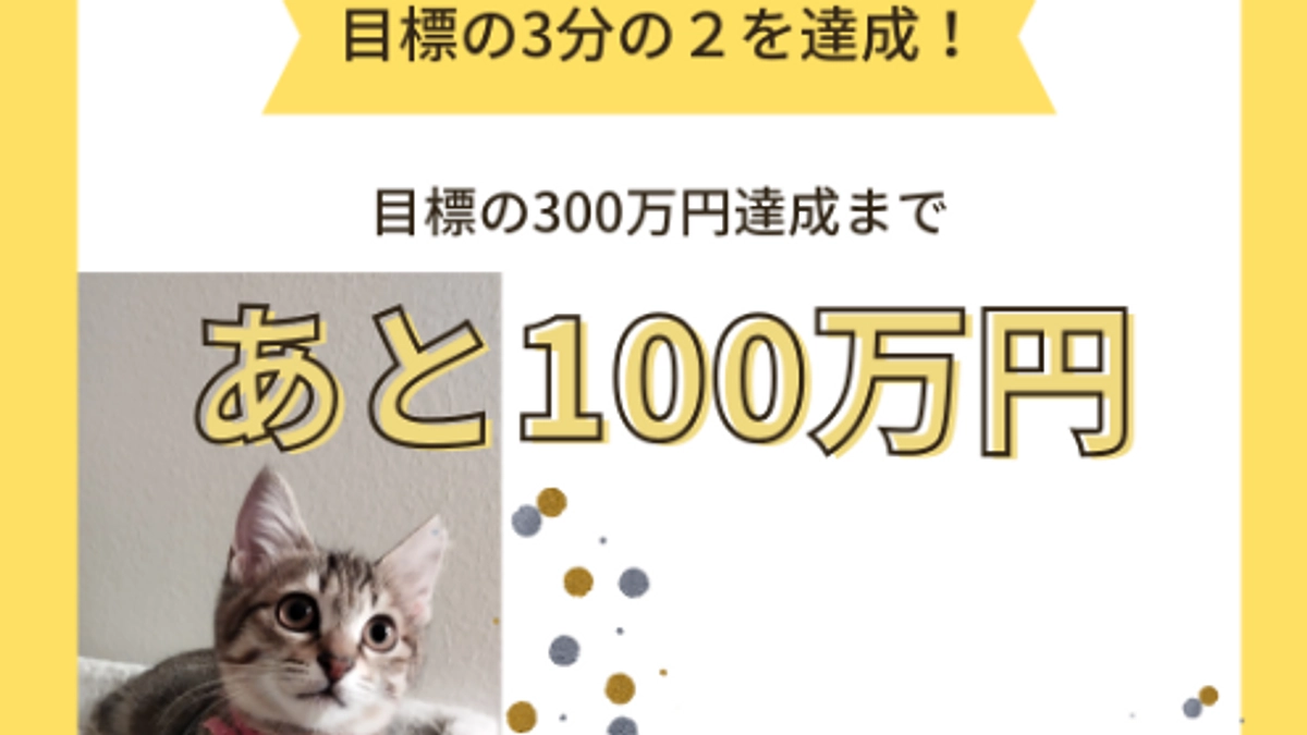 【目標額の3分の2を達成しました！】