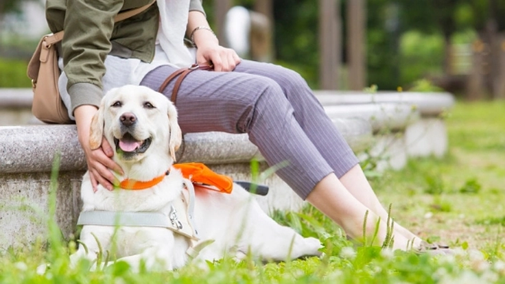 盲導犬ユーザー約1,000人を支える“声かけ”の力を広げたい！