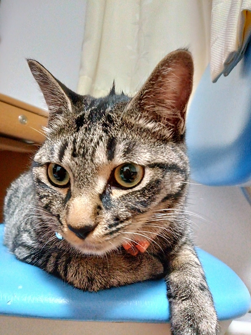 大変な毎日です